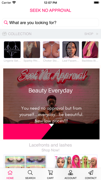Seeknoapproval Screenshot