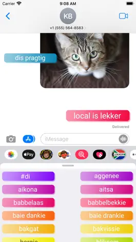 Game screenshot Local is Lekker apk