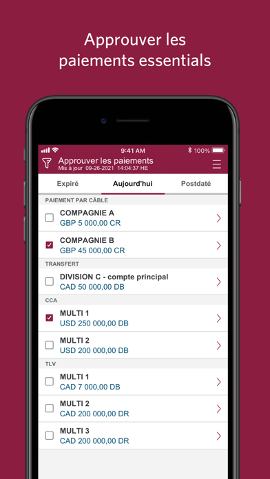 Screenshot #3 pour Mobile pour entreprises CIBC