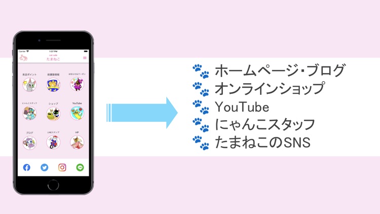猫カフェたまねこ screenshot-4