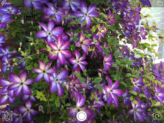 Screenshot #5 pour GoldKey Camera
