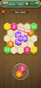 Hexa Number Puzzle screenshot #2 for iPhone