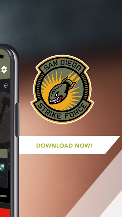 San Diego Strike Force screenshot-5