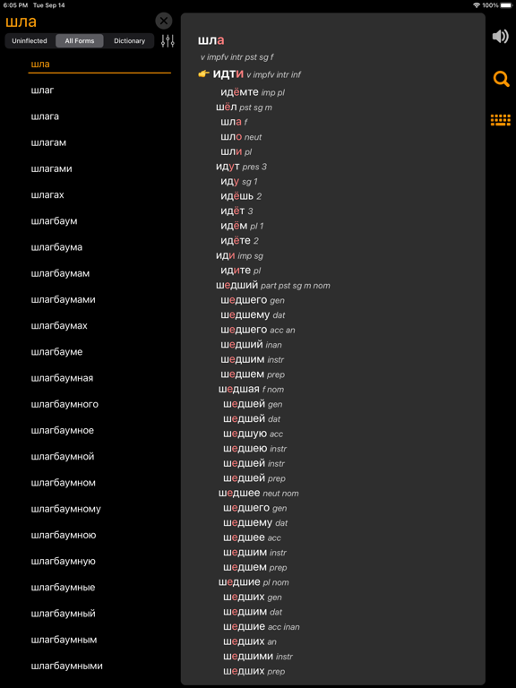 Screenshot #5 pour RuFlex Pro Russian Inflection