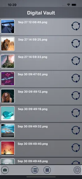 Game screenshot Digital Private Vault: SaFeIT hack