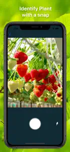 Plant Finder Tree identifer screenshot #2 for iPhone