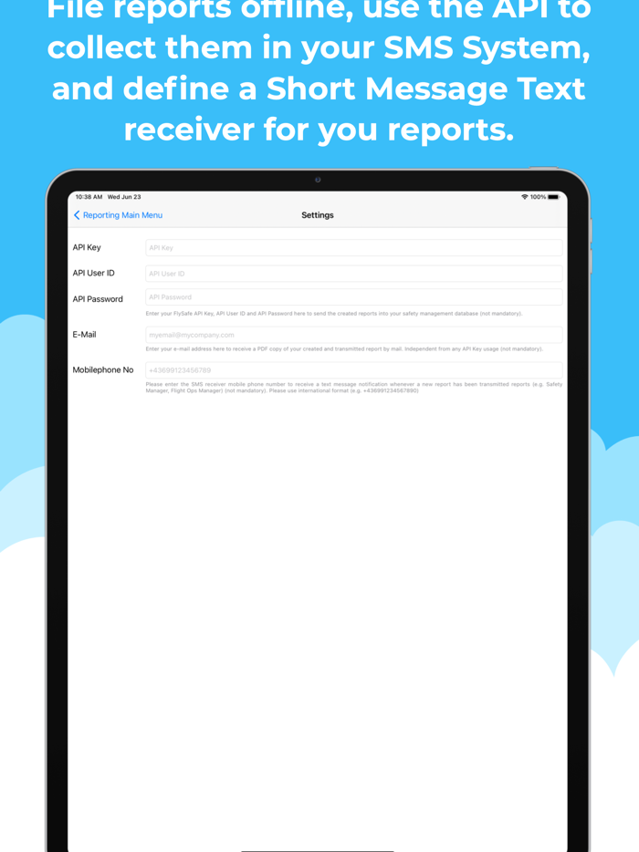 Aviation Report Templates