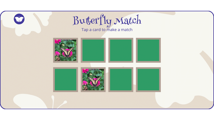 World of Butterflies