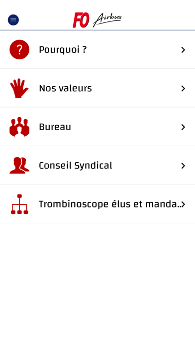 Screenshot #3 pour FO D&S Toulouse