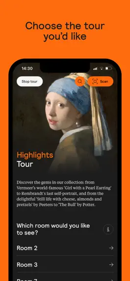 Game screenshot Mauritshuis apk