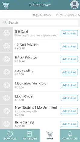 Game screenshot Align Yoga and Strength hack