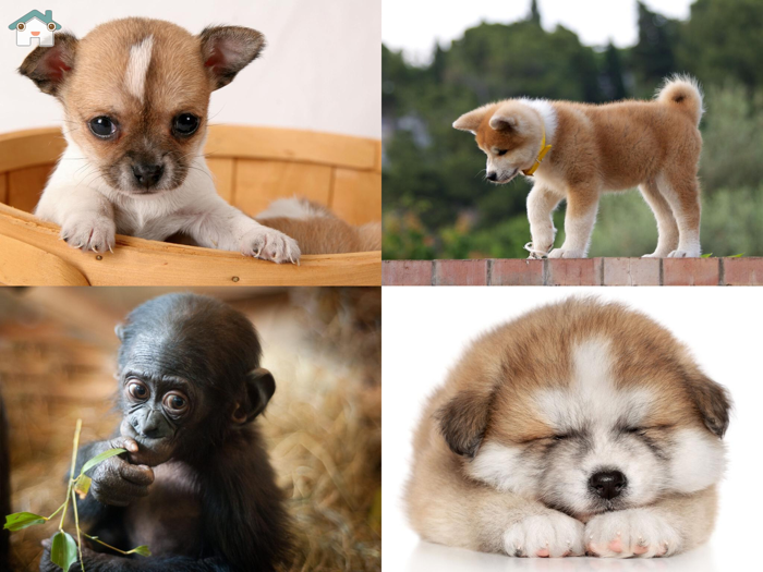 Baby what shouldn’t be here