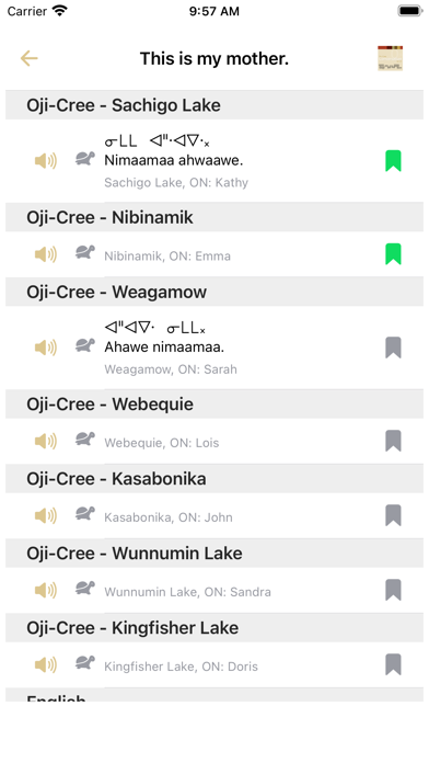 Oji-Cree Conversation Screenshot