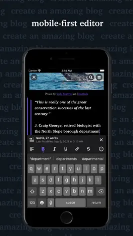 Game screenshot Fiedra apk