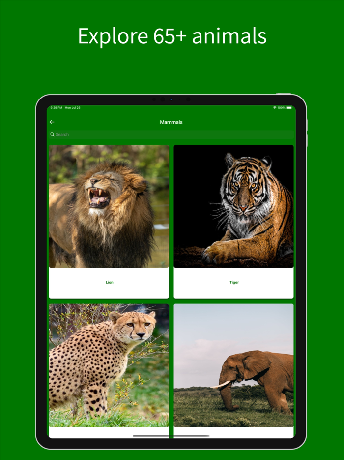 Virtual Jungle Safari