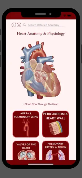 Game screenshot Heart Anatomy and Physiology mod apk