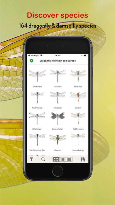 Dragonfly Id Britain & Europe Screenshot