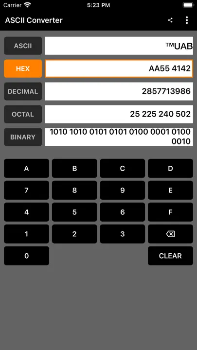 ASCII Converter iPhone-skjermbilde 1
