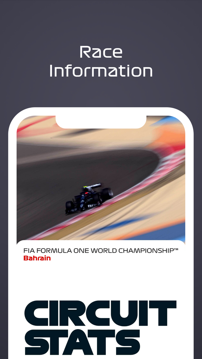 F1® Race Programme