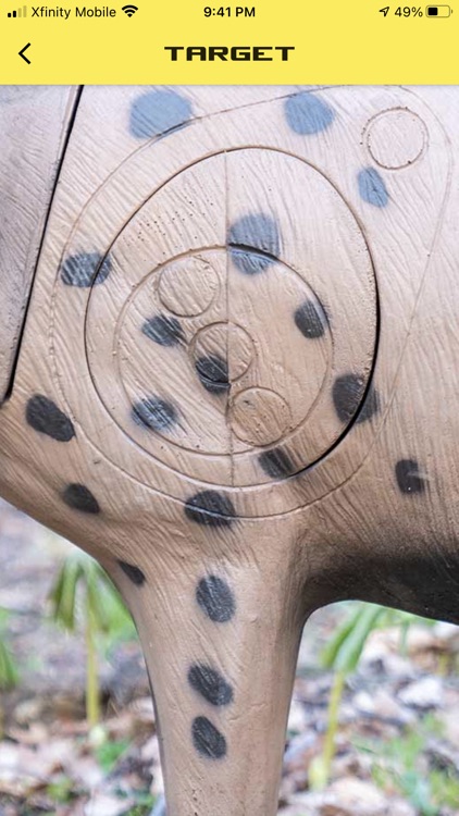 3D Pro Archery screenshot-5