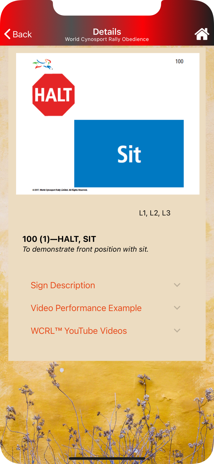 World CynoSport Rally Obedienc