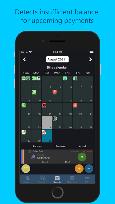 Saru - Expenses and Money Screenshot