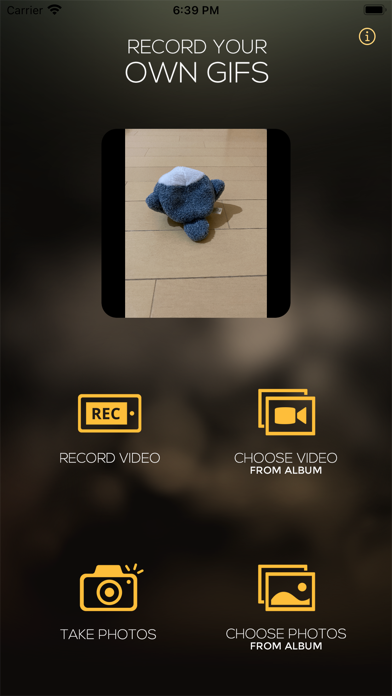 GIF Studios Screenshot