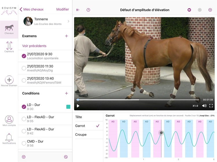 EQUISYM screenshot-4