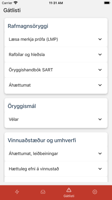 Rafmennt Safety Screenshot