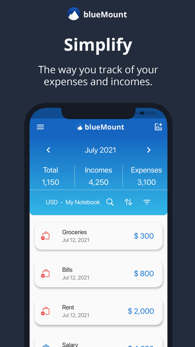 BlueMount - Money manager Screenshot