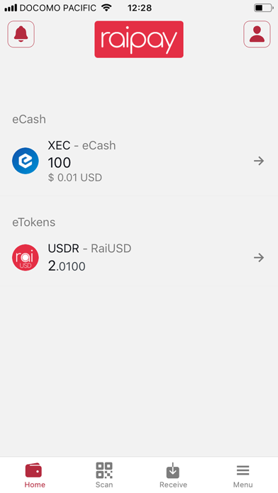 RaiPay Wallet Screenshot