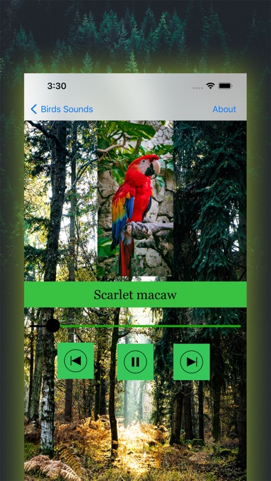 100 Bird Sounds Screenshot