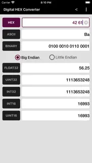 digital hex converter iphone screenshot 2