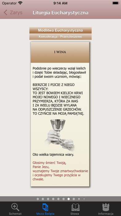 Msza Święta Screenshot