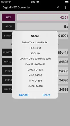Digital Hex Converter iPhone image 4