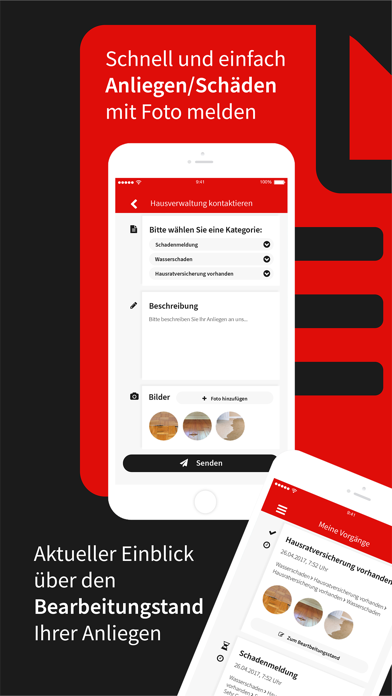 Braun HV Screenshot