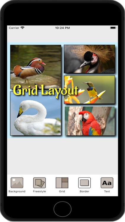 Photo Layout Plus from SG