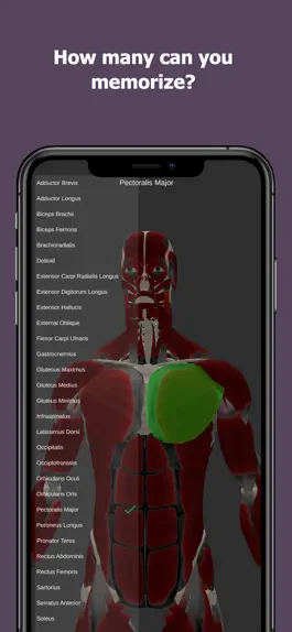 Game screenshot Anatomy Of Human Muscles hack