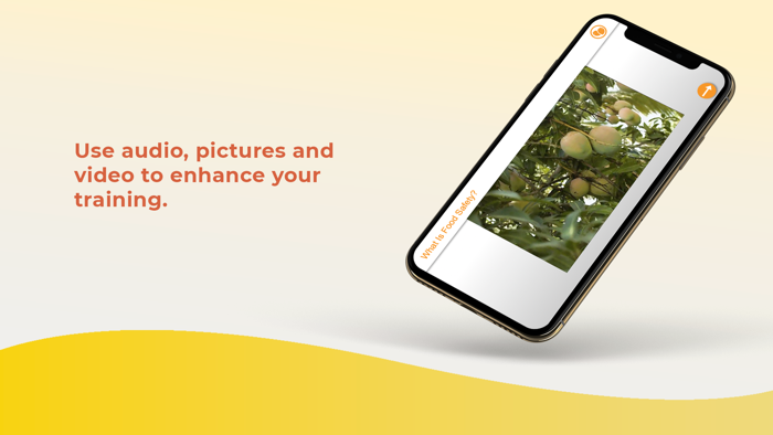 ABCs of Mango Safety