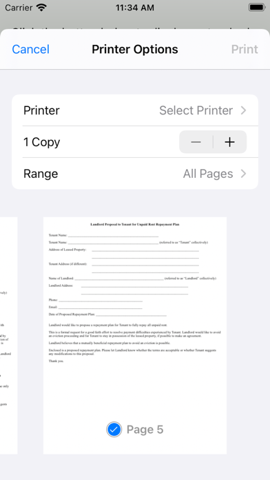 Rent Repayment Plan Screenshot