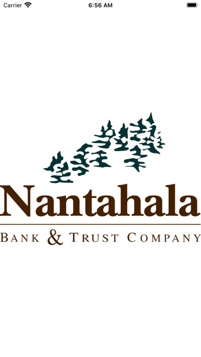 Nantahala Bank For Business Screenshot