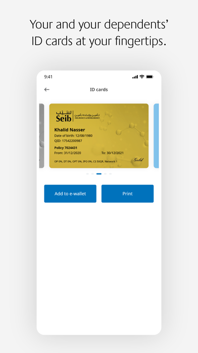 Seib Insurance & Reinsurance Screenshot
