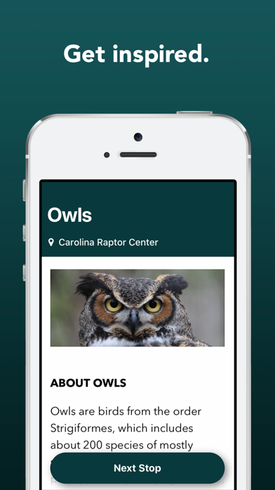 BirdsInspire Screenshot