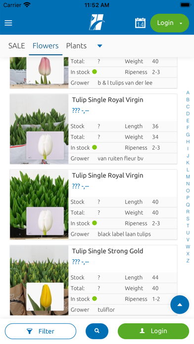Heemskerk Flowers Screenshot