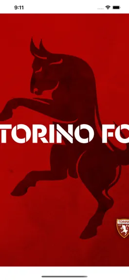 Game screenshot Torino Channel hack