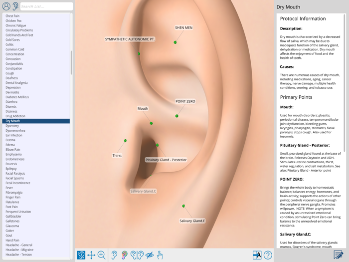 Auriculo 360 - The Living Ear