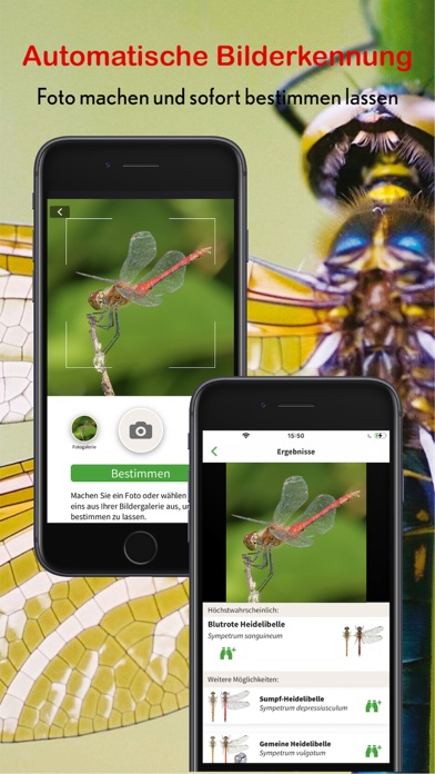 Libellen Id Europa Screenshot