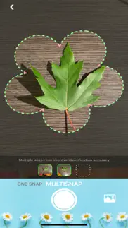 tree identification -treeid ai iphone screenshot 3