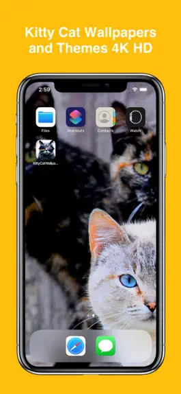Game screenshot Kitty Cat Wallpapers 4K HD mod apk