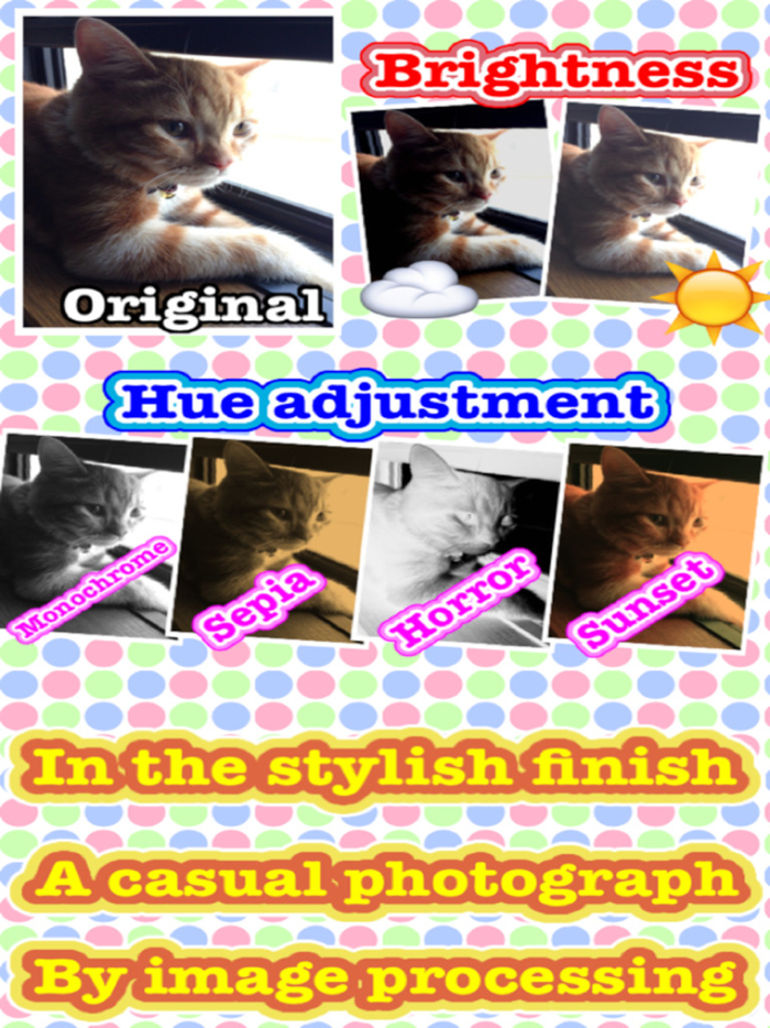 Photo Arrangement LITE